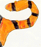 Tiger Tail Home Icon