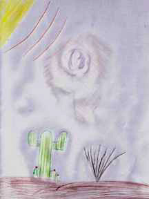 Miami's drawing