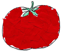 Mateo's Tomato Collage