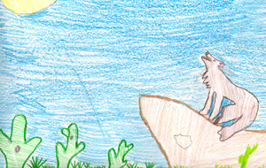 This is a drawing of a coyote howling at the moon.