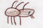 spiders