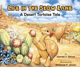 Book Jacket