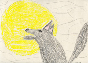 Coyote singing to large moon