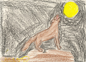 Coyote singing to the moon