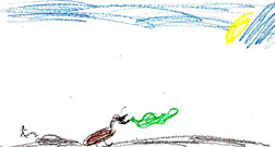 This is a picture of a roadrunner.