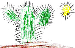 This is a picture of a saguaro in the sun.