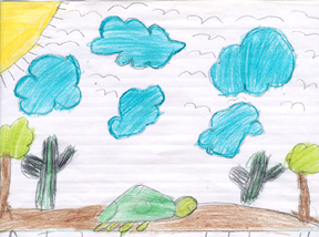 A drawing of Desiree's tortoise.