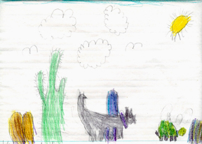 A drawing of Violetta's coyote.