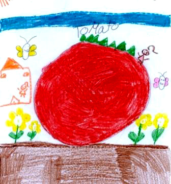 Jordan's tomato drawing
