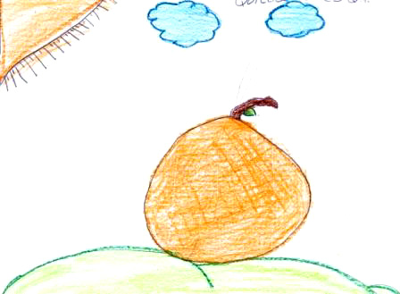 Q. T.'s pumpkin