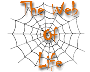 The Web of Life
