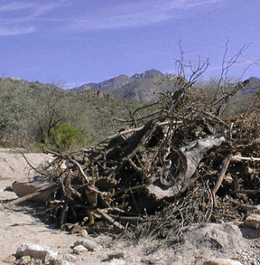 Photograph of debris pile