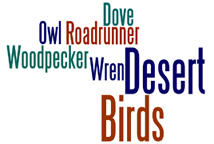 Birds Logo