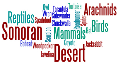 Desert Duets Logo
