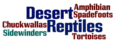 Reptiles Logo