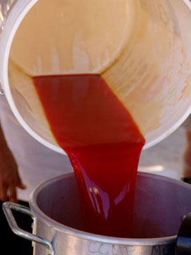 Pouring the liquid
